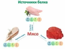 Білкові (протеїнові) продукти білкові