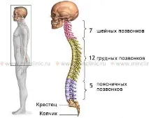 анкилозиращ