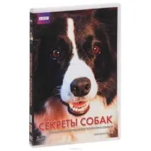 BBC Секрети собак - Хочу все знати собак
