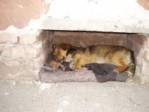 фотоприколи