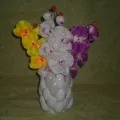 бджілки