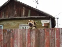 березі