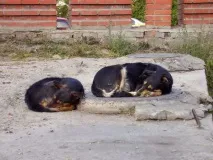 фотоприколи