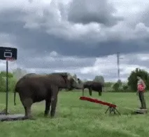 його