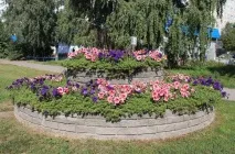 березі