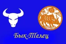 Бик-Телець, ворожіння людина