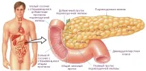Хвороби підшлункової залози – симптоми, лікування залози