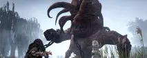 Black Desert світові боси та підземелля black