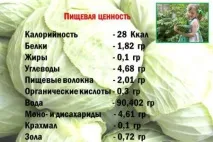 день