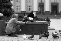 Види лінз лінз