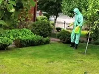 Чим обробити дачу від кліщів - поради від Лісмайстер обробити