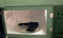 Чого не варто класти в мікрохвильову піч 10 небезпечних речей класти