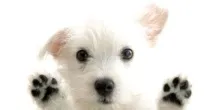 Як пережити цю неприємність. може