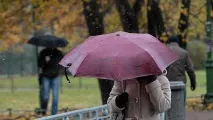 Циклон з Китаю та Монголії принесе у Примор’ї дощі та похолодання, Погода та клімат, Екологія принесе
