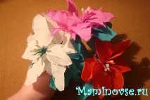 Квіти з гофрованого паперу пуансетію або різдвяний світ очима мами світ