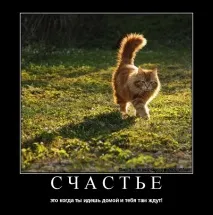 щастя