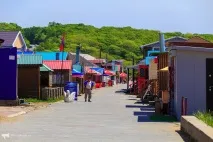 Дешевше, швидше, смачніше якісь шашлики продають на Шаморі цього літа дешевше