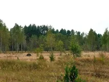 було