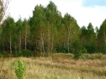 цікавих