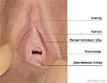 огляд