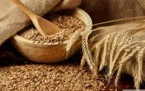 Дріжджі пакмайя (pakmaya) для браги відгуки та рецепт браги