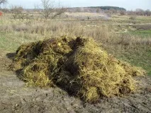 Деревна зола як добриво добриво