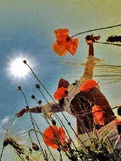завжди