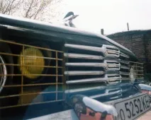 ваня