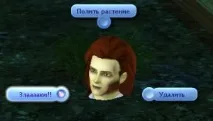 сусід