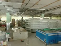 виростила
