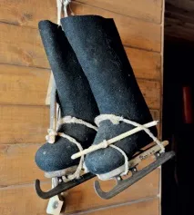 Де «валяються» коні валявся»