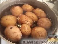 Картопляники з курячим м’ясом картопляники