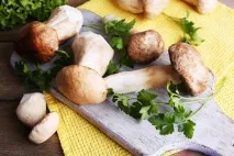Рецепти заморожених печериць, що можна приготувати, Грибний сайт заморожених