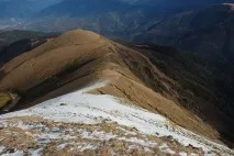 Гора Абаго, пасовище Абаго Абаго