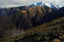Гора Абаго, пасовище Абаго гора