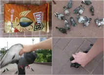вижити