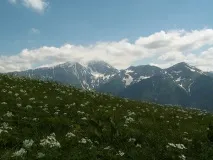 Гора Абаго, пасовище Абаго пасовище