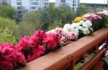 Ідеї саду на балконі саду