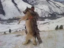 факти