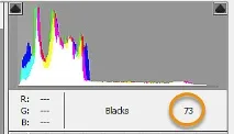 Використання гістограми в Camera Raw використання