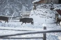 Виповнилося б… від дня народження » «НУ_онлайн»