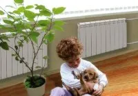 Які радіатори опалення кращі кращі