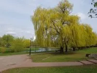 камерою