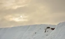 Як фотографувати взимку взимку