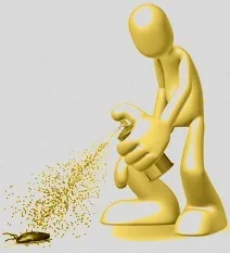 Як позбутися постільних клопів у квартирі, чим цькувати позбутися