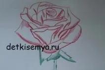 Cum să desenezi un trandafir mare pas cu pas, Totul despre copii și familie
