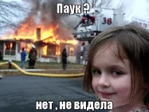 Як позбутися павука павуків