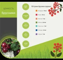 Які вітаміни містяться в брусниці містяться