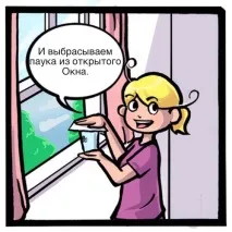 Як позбутися павука павуків