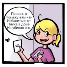 Як позбутися павука павуків